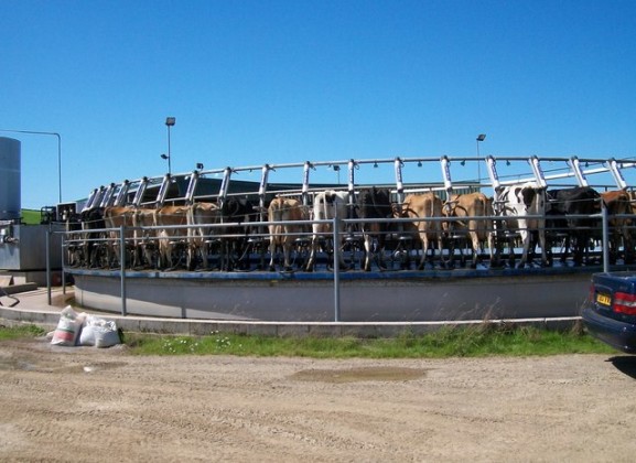 2005589_31fc69f3-577x420