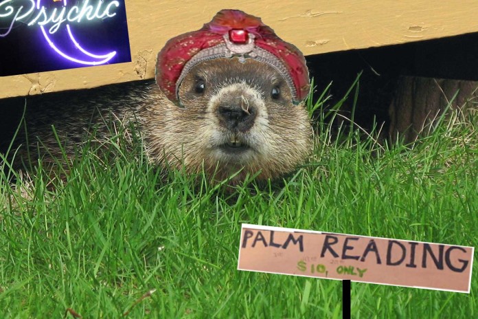 Ground-Hogs-Day-IFLScience-Banner-696x464