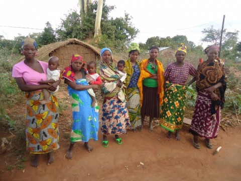 Women_Farmers_in_Itoculu_Monapo_District_Mozambique-e1457993577483
