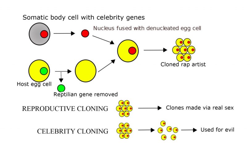 2000px-Cloning_diagram_english_svg-1024x675