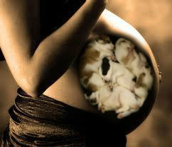 582024_379919742073137_1718783800_n