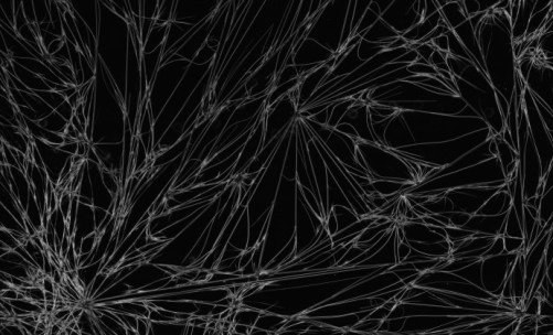 CaffeineCrystals_Fibrous_10xDarkField-691x420