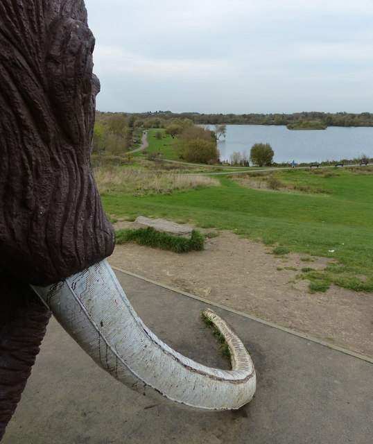 One theory is that the ocean was not as deep back then, allowing the mammoths to walk to the island. Another possibility: roads.