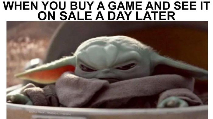 An extremely funny online meme featuring a young Yoda